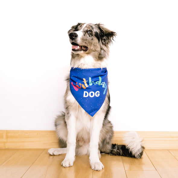 Birthday Bandana