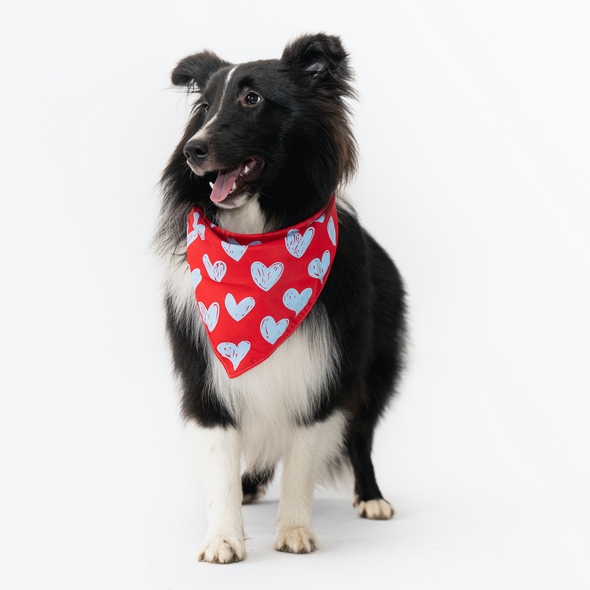 Hearts Bandana