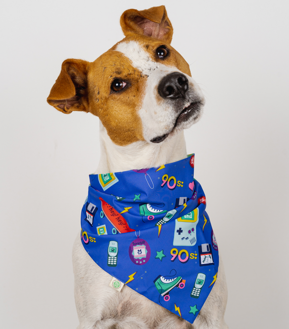Nostalgia Bandana