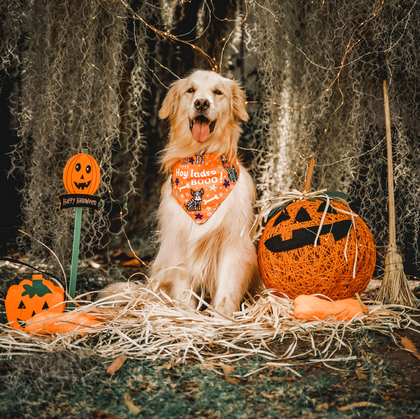 Halloween Bandana - Día de los Muertos