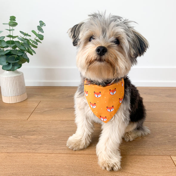 Foxes Bandana