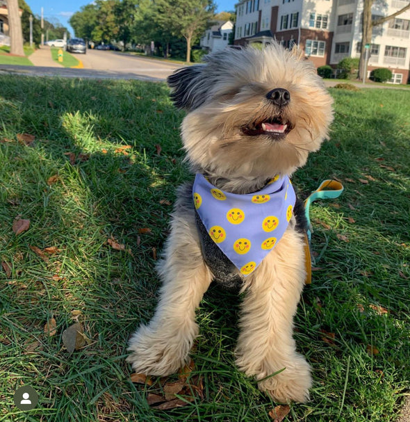Happy Faces Bandana